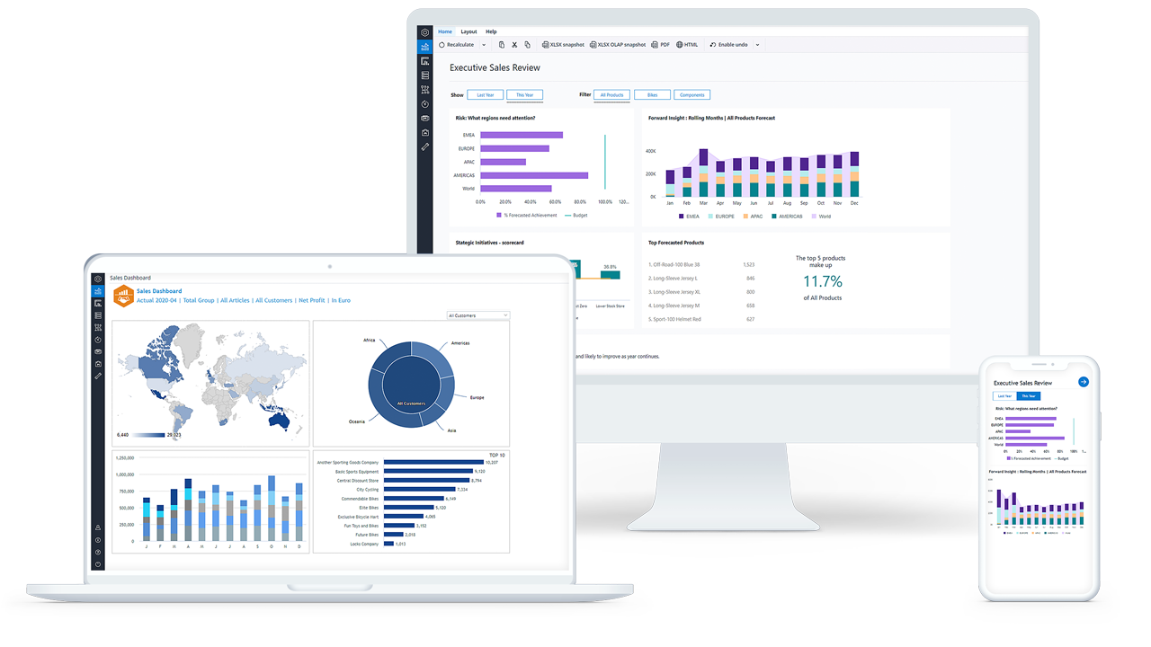 Jedox Unified View Mockup En Jedox Unified View Mockup En