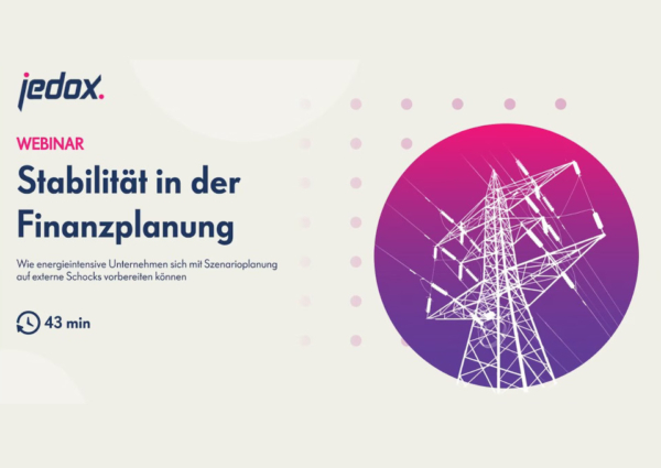 webinar stabilitaet in der finanzplanung preview image de