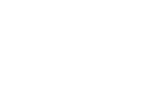 logo-smart-inverted logo smart inverted