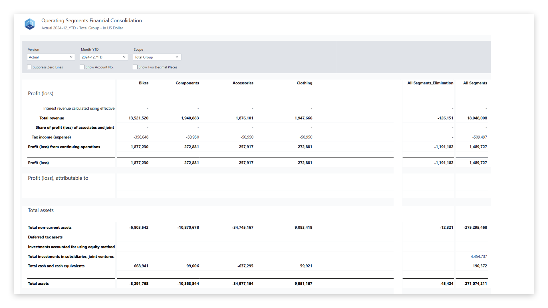 jedox consolidated statement by segments