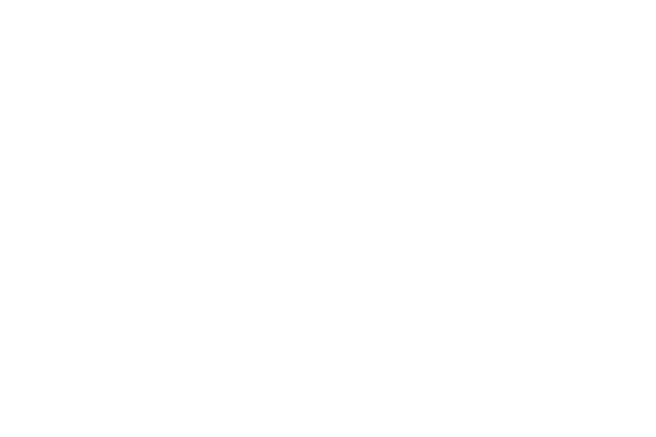 labelium-logo-white labelium logo white