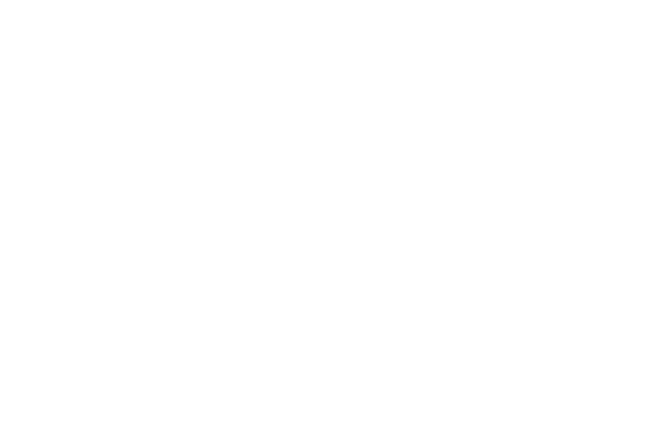 bnp-parisbas-logo-white bnp parisbas logo white